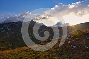 Evening landscape of the Lagonaki plateau